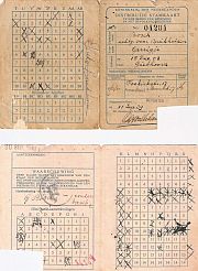 bon1 Hermanus 1902